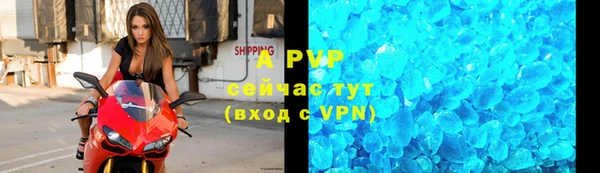 прущие грибы Бронницы