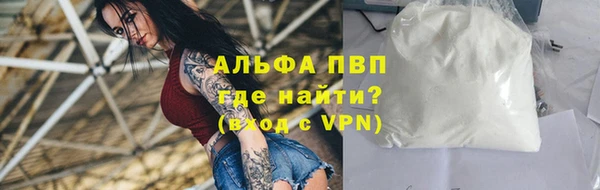 прущие грибы Бронницы