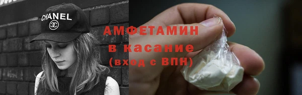 прущие грибы Бронницы