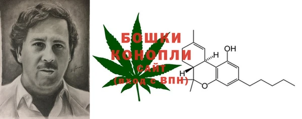 прущие грибы Бронницы