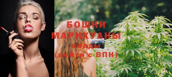 прущие грибы Бронницы