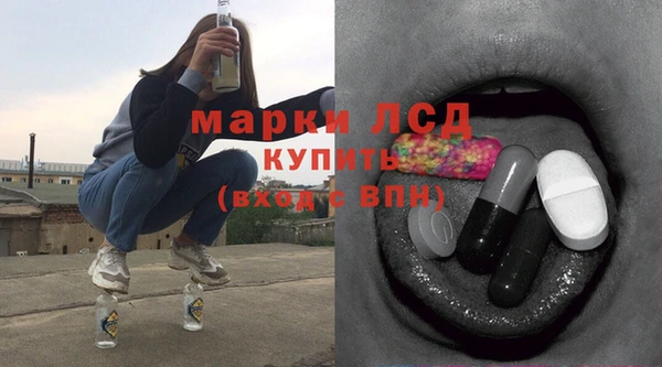 прущие грибы Бронницы