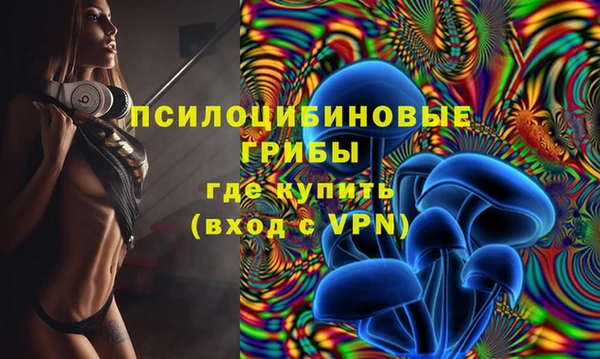 ALPHA-PVP Бородино
